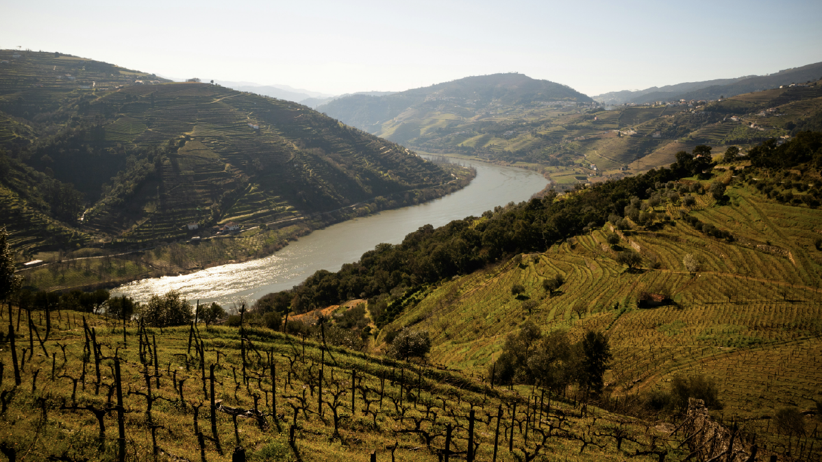 experiencias-dreamstay-douro-vinhas 9 DICAS INFALÍVEIS PARA QUE OS HÓSPEDES DEIXEM O ALOJAMENTO LOCAL EM BOAS CONDIÇÕES