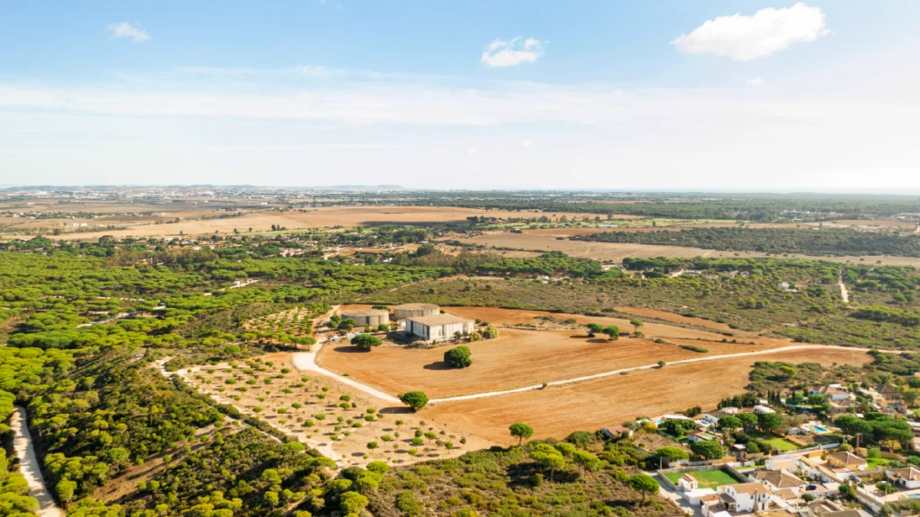 FUTURO-DO-ALOJAMENTO-LOCAL-local-02-1024x576 3 ESTRATÉGIAS PARA O SUCESSO DO SEU ALOJAMENTO LOCAL