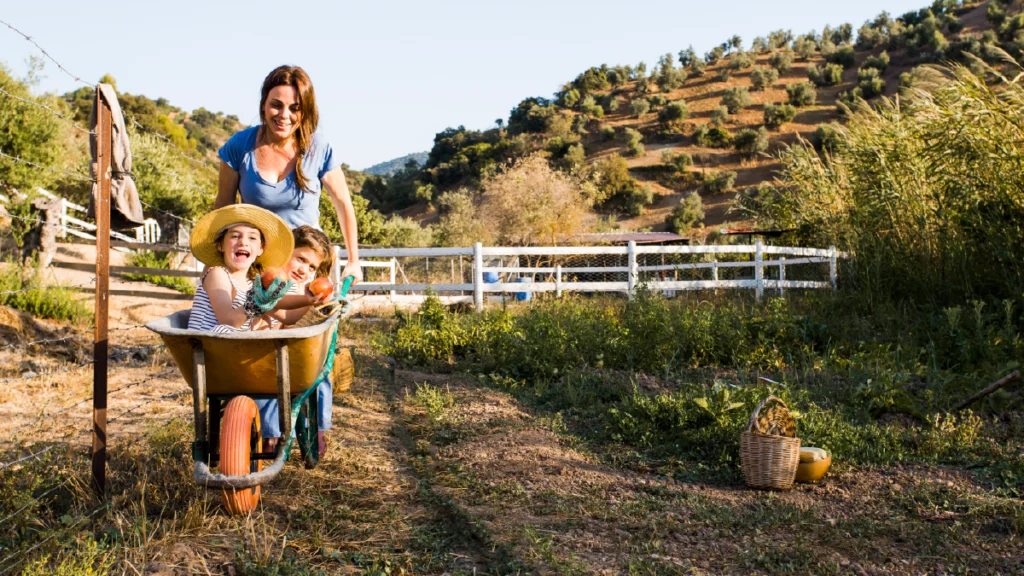 FUTURO-DO-ALOJAMENTO-LOCAL-local-38-1024x576 3 ESTRATÉGIAS PARA O SUCESSO DO SEU ALOJAMENTO LOCAL